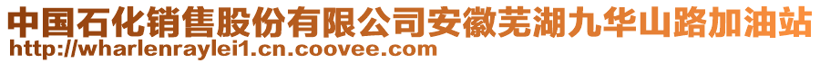 中國石化銷售股份有限公司安徽蕪湖九華山路加油站