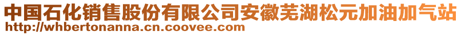 中國(guó)石化銷(xiāo)售股份有限公司安徽蕪湖松元加油加氣站