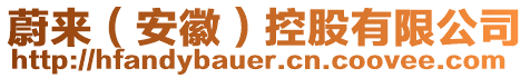 蔚來(lái)（安徽）控股有限公司