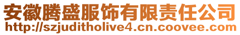 安徽騰盛服飾有限責(zé)任公司