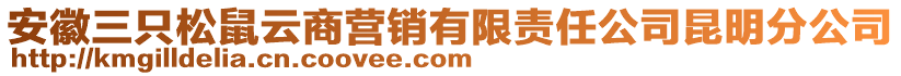 安徽三只松鼠云商營(yíng)銷有限責(zé)任公司昆明分公司