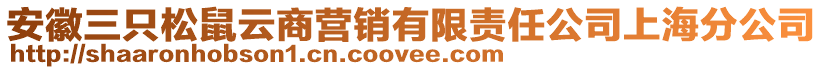 安徽三只松鼠云商營銷有限責(zé)任公司上海分公司