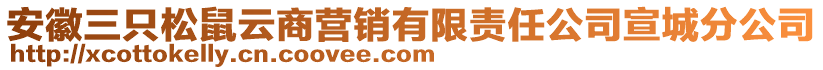 安徽三只松鼠云商營銷有限責任公司宣城分公司