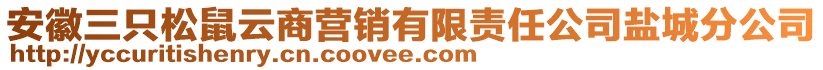 安徽三只松鼠云商營銷有限責(zé)任公司鹽城分公司