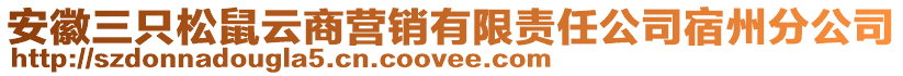 安徽三只松鼠云商營銷有限責(zé)任公司宿州分公司