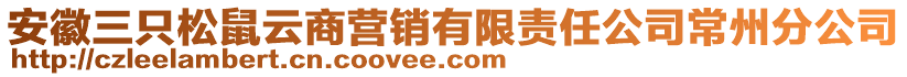 安徽三只松鼠云商營銷有限責(zé)任公司常州分公司