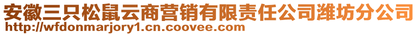 安徽三只松鼠云商營(yíng)銷(xiāo)有限責(zé)任公司濰坊分公司