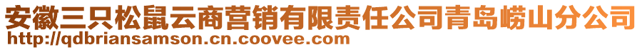 安徽三只松鼠云商營銷有限責(zé)任公司青島嶗山分公司