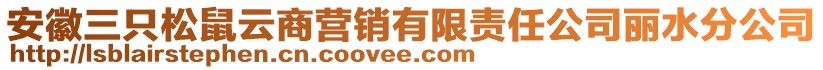 安徽三只松鼠云商營銷有限責(zé)任公司麗水分公司