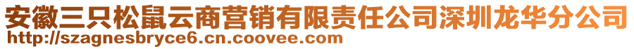 安徽三只松鼠云商營銷有限責(zé)任公司深圳龍華分公司