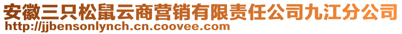 安徽三只松鼠云商營銷有限責(zé)任公司九江分公司