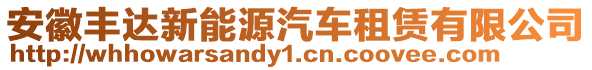 安徽豐達(dá)新能源汽車租賃有限公司