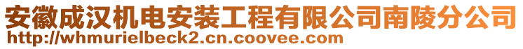 安徽成漢機(jī)電安裝工程有限公司南陵分公司