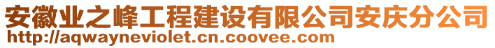 安徽業(yè)之峰工程建設有限公司安慶分公司