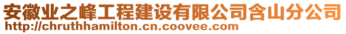 安徽业之峰工程建设有限公司含山分公司