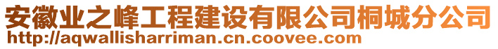 安徽業(yè)之峰工程建設有限公司桐城分公司