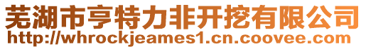 蕪湖市亨特力非開挖有限公司
