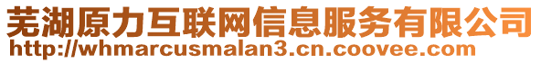 蕪湖原力互聯(lián)網(wǎng)信息服務有限公司