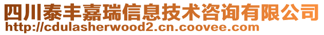 四川泰豐嘉瑞信息技術(shù)咨詢有限公司