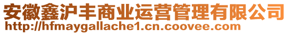 安徽鑫滬豐商業(yè)運(yùn)營(yíng)管理有限公司