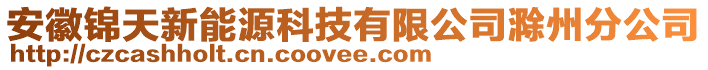 安徽錦天新能源科技有限公司滁州分公司