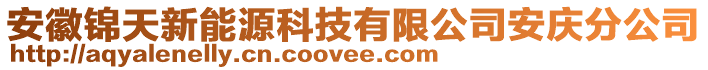 安徽錦天新能源科技有限公司安慶分公司