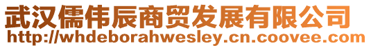 武漢儒偉辰商貿發(fā)展有限公司