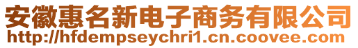 安徽惠名新電子商務(wù)有限公司