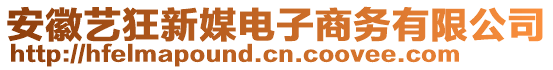 安徽藝狂新媒電子商務(wù)有限公司