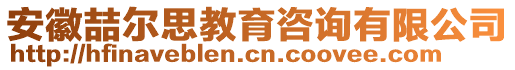 安徽喆爾思教育咨詢有限公司