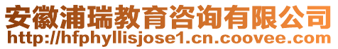 安徽浦瑞教育咨詢有限公司