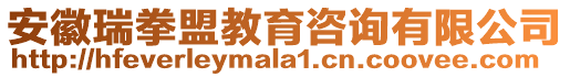 安徽瑞拳盟教育咨詢有限公司