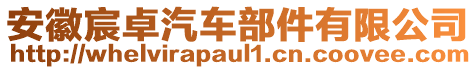 安徽宸卓汽車部件有限公司