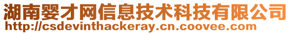 湖南嬰才網信息技術科技有限公司