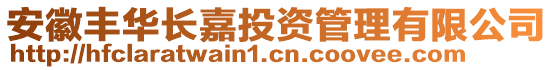 安徽豐華長嘉投資管理有限公司