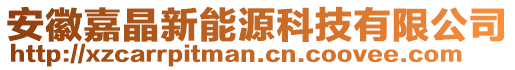 安徽嘉晶新能源科技有限公司