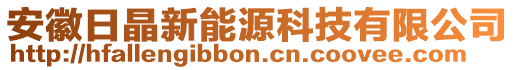 安徽日晶新能源科技有限公司