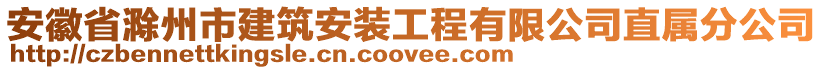 安徽省滁州市建筑安裝工程有限公司直屬分公司