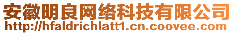 安徽明良網(wǎng)絡(luò)科技有限公司