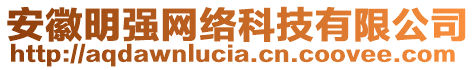 安徽明強(qiáng)網(wǎng)絡(luò)科技有限公司