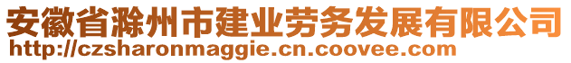 安徽省滁州市建業(yè)勞務(wù)發(fā)展有限公司