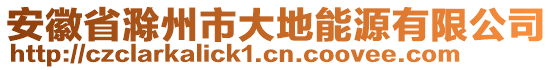 安徽省滁州市大地能源有限公司