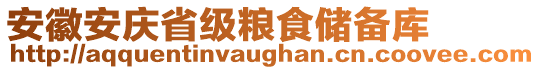 安徽安慶省級(jí)糧食儲(chǔ)備庫(kù)