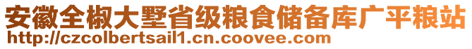 安徽全椒大墅省級糧食儲備庫廣平糧站