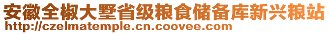 安徽全椒大墅省級糧食儲備庫新興糧站