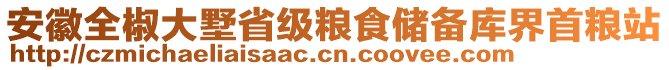 安徽全椒大墅省級(jí)糧食儲(chǔ)備庫(kù)界首糧站