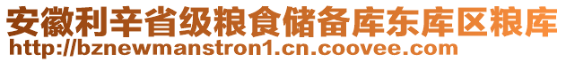 安徽利辛省級(jí)糧食儲(chǔ)備庫(kù)東庫(kù)區(qū)糧庫(kù)