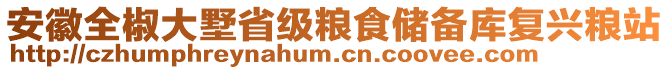 安徽全椒大墅省級(jí)糧食儲(chǔ)備庫(kù)復(fù)興糧站