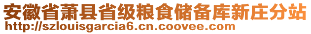 安徽省蕭縣省級(jí)糧食儲(chǔ)備庫新莊分站