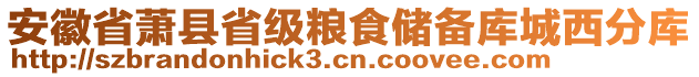 安徽省蕭縣省級糧食儲備庫城西分庫